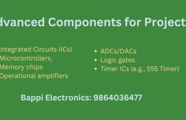 Bappi Electronics – Top Electronics Component Store Lakhtokia